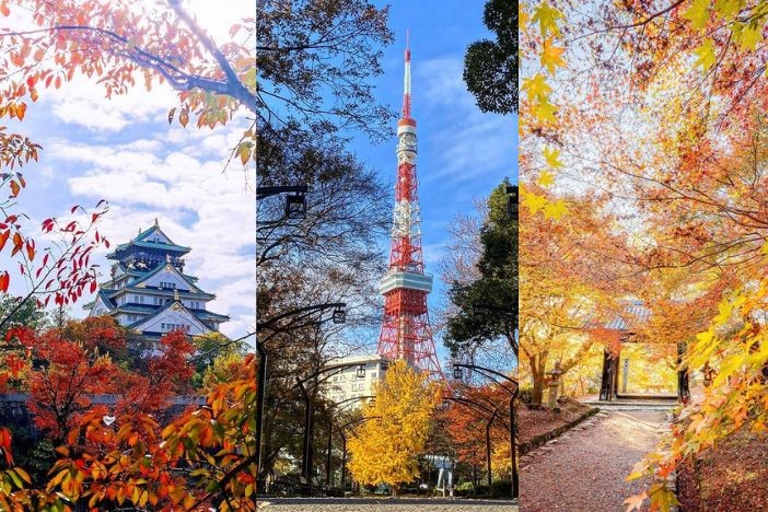 日本紅葉2022 日本旅遊賞楓懶人包 拍拖景點 紅葉打卡攻略 